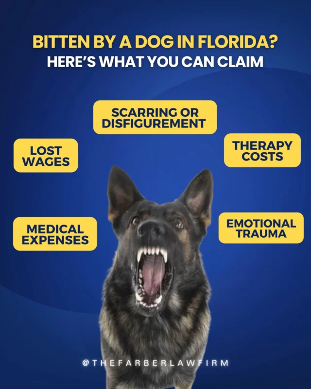 Were you or your child bitten by a dog in Florida?
Florida law holds dog owners strictly liable, even if their dog had never shown signs of aggression. But many people don’t realize they may be entitled to much more than just medical bills.

You could recover compensation for:

🏥 Medical expenses including ER visits, follow-ups, and prescriptions
💼 Lost wages or future income if you had to miss work
😔 Emotional trauma like anxiety or PTSD, especially in children
✋ Scarring or disfigurement, including cosmetic procedures
🧠 Therapy and mental health support during recovery

Most of these claims are covered by the dog owner's homeowners or renters insurance, not paid out of pocket. Don’t let guilt stop you from getting the help you deserve.

Speak to a lawyer before the insurance company speaks to you.

📞 Free consultations
💼 No fees unless we win
📍 We represent clients across Florida

#DogBiteLawyer #FloridaDogBite #ChildInjuryLawyer #PersonalInjuryHelp #DogAttackClaim #KnowYourRights #TheFarberLawFirm #InjuryLawyerFlorida #MiamiLawyer #FreeConsultation #DogBiteAwareness
